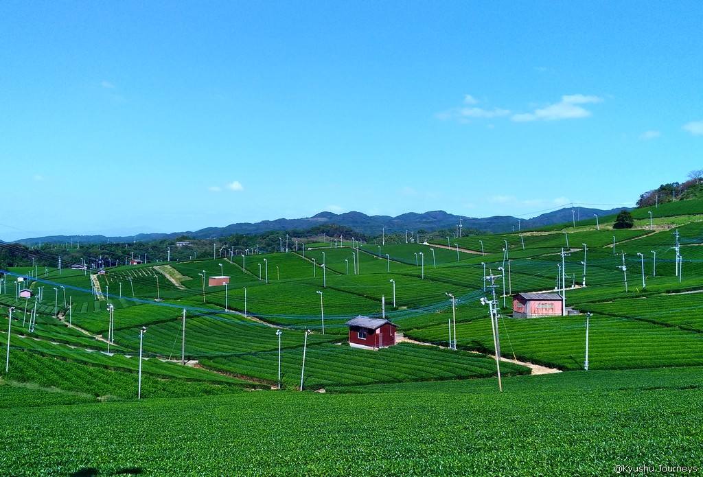 {isset($pic['title'])?$pic['title']:''}