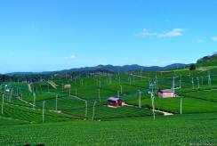 {isset($pic['title'])?$pic['title']:''}