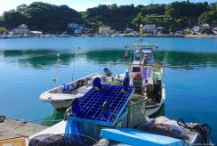 {isset($pic['title'])?$pic['title']:''}