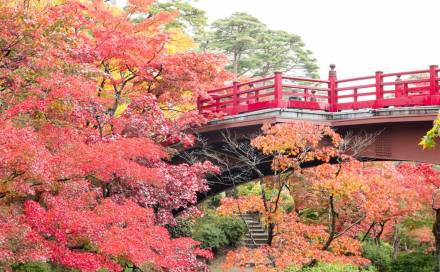 Japan - Kyushu Autumn Tour