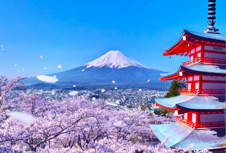 SPECIAL - 2023 Japan Sakura Season 10 Days