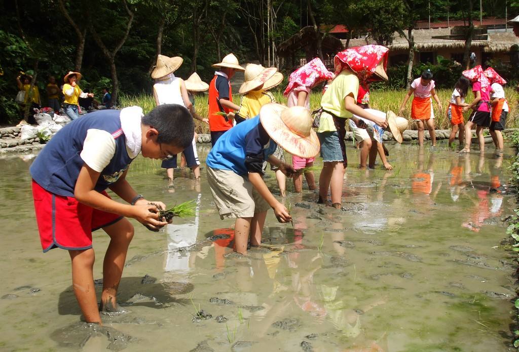 {isset($pic['title'])?$pic['title']:''}