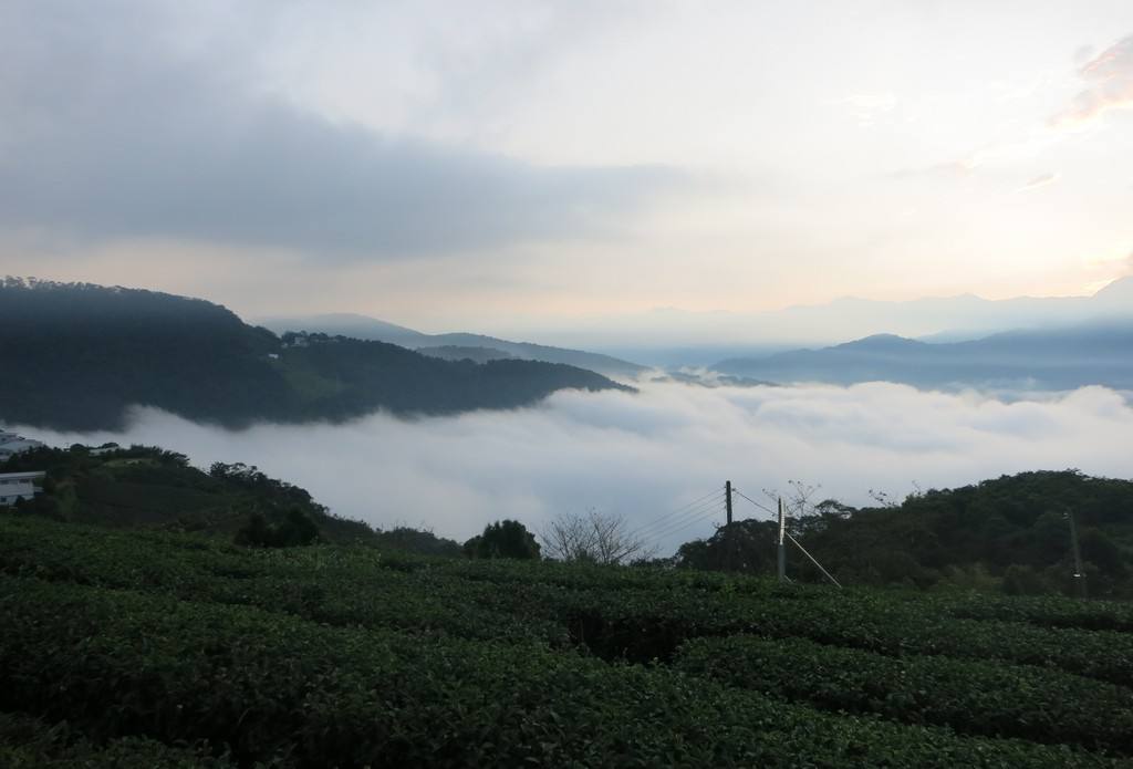 {isset($pic['title'])?$pic['title']:''}