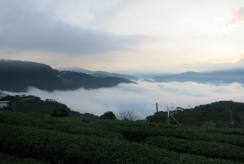 {isset($pic['title'])?$pic['title']:''}