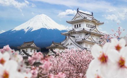 Japan's Springtime Wonders  - Sakura Blossom Season 13 Days