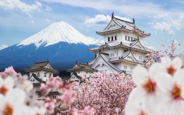Japan's Springtime Wonders  - Sakura Blossom Season 13 Days