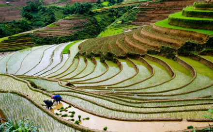 Sapa Explorer – Heart of the Highlands 4 Days