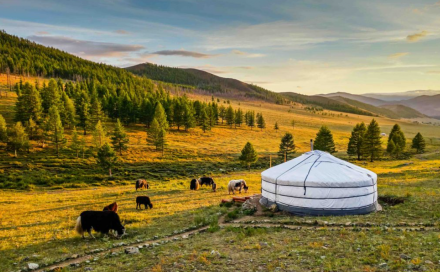 Highlights of Mongolia and Ancient Gobi