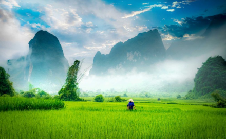 Vietnam Classic Journey – Sapa, Hanoi, Halong, Ninh Binh, Hue, Hoi An 11 Days