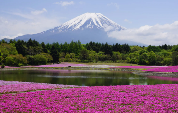 {isset($pic['title'])?$pic['title']:''}