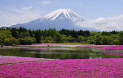 {isset($pic['title'])?$pic['title']:''}