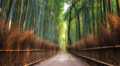 {isset($pic['title'])?$pic['title']:''}