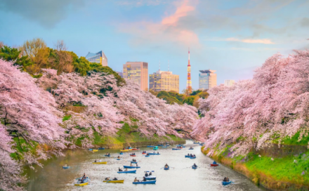 Capitals of Japan 11 Days - Go English Series