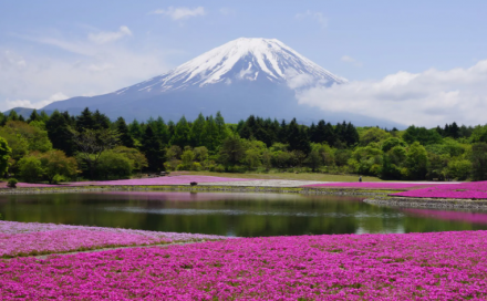 Essential Japan 7 Days - Go English Series