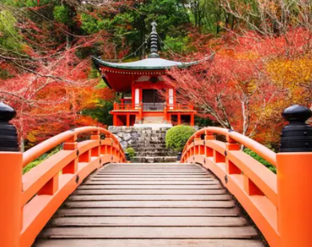 {isset($pic['title'])?$pic['title']:''}