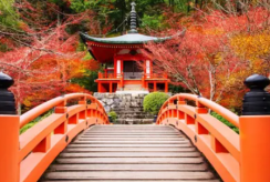 {isset($pic['title'])?$pic['title']:''}