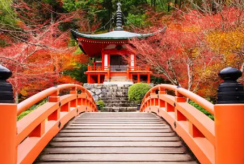 {isset($pic['title'])?$pic['title']:''}