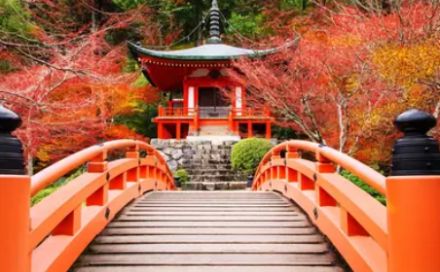 Contrasts of Japan end Tokyo 10 Days - Go English Series