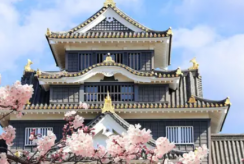 {isset($pic['title'])?$pic['title']:''}