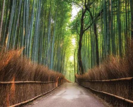 {isset($pic['title'])?$pic['title']:''}