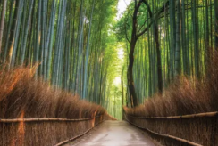 {isset($pic['title'])?$pic['title']:''}