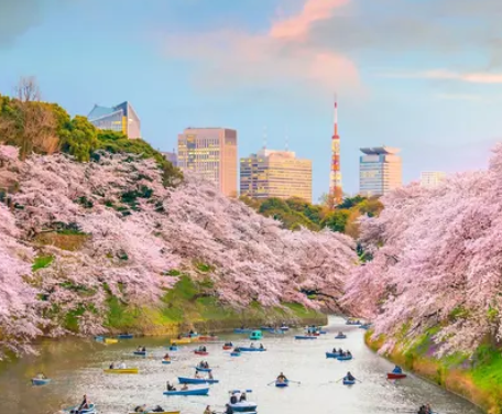 {isset($pic['title'])?$pic['title']:''}