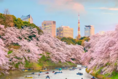 {isset($pic['title'])?$pic['title']:''}