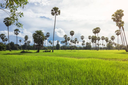 {isset($pic['title'])?$pic['title']:''}