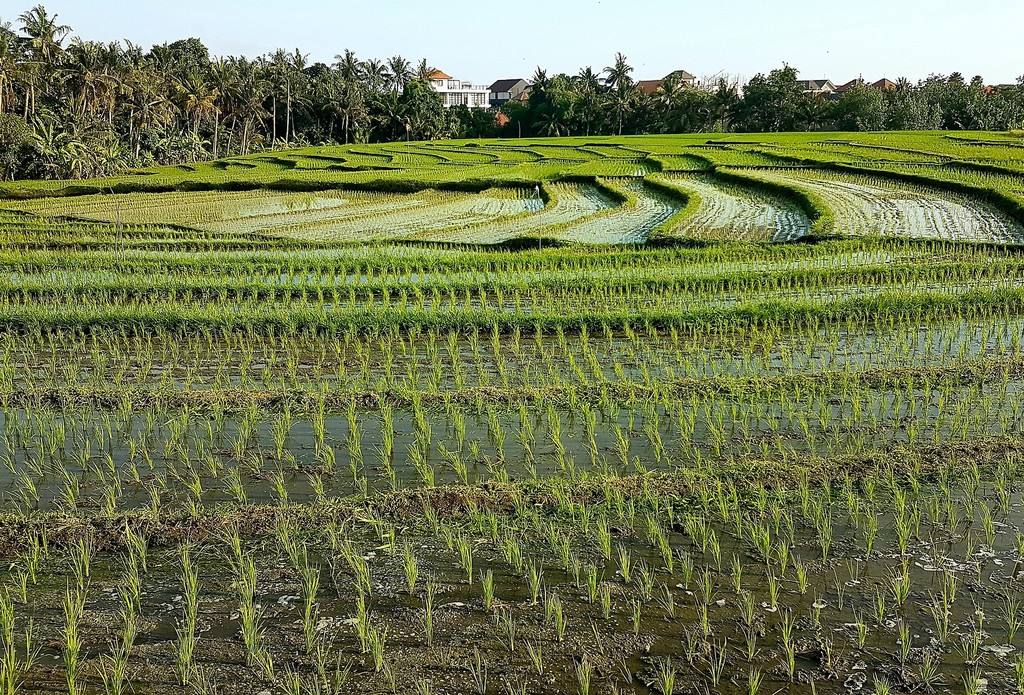 {isset($pic['title'])?$pic['title']:''}