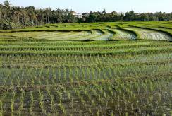 {isset($pic['title'])?$pic['title']:''}