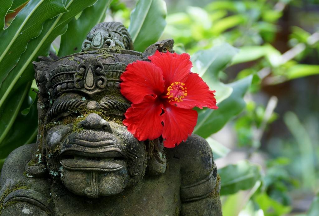 {isset($pic['title'])?$pic['title']:''}