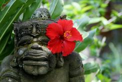 {isset($pic['title'])?$pic['title']:''}